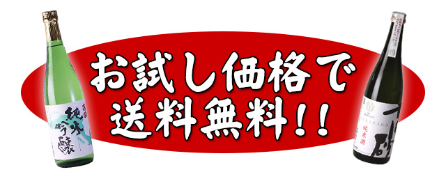 お試し価格で送料無料